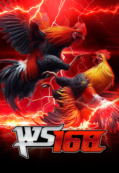 ws168